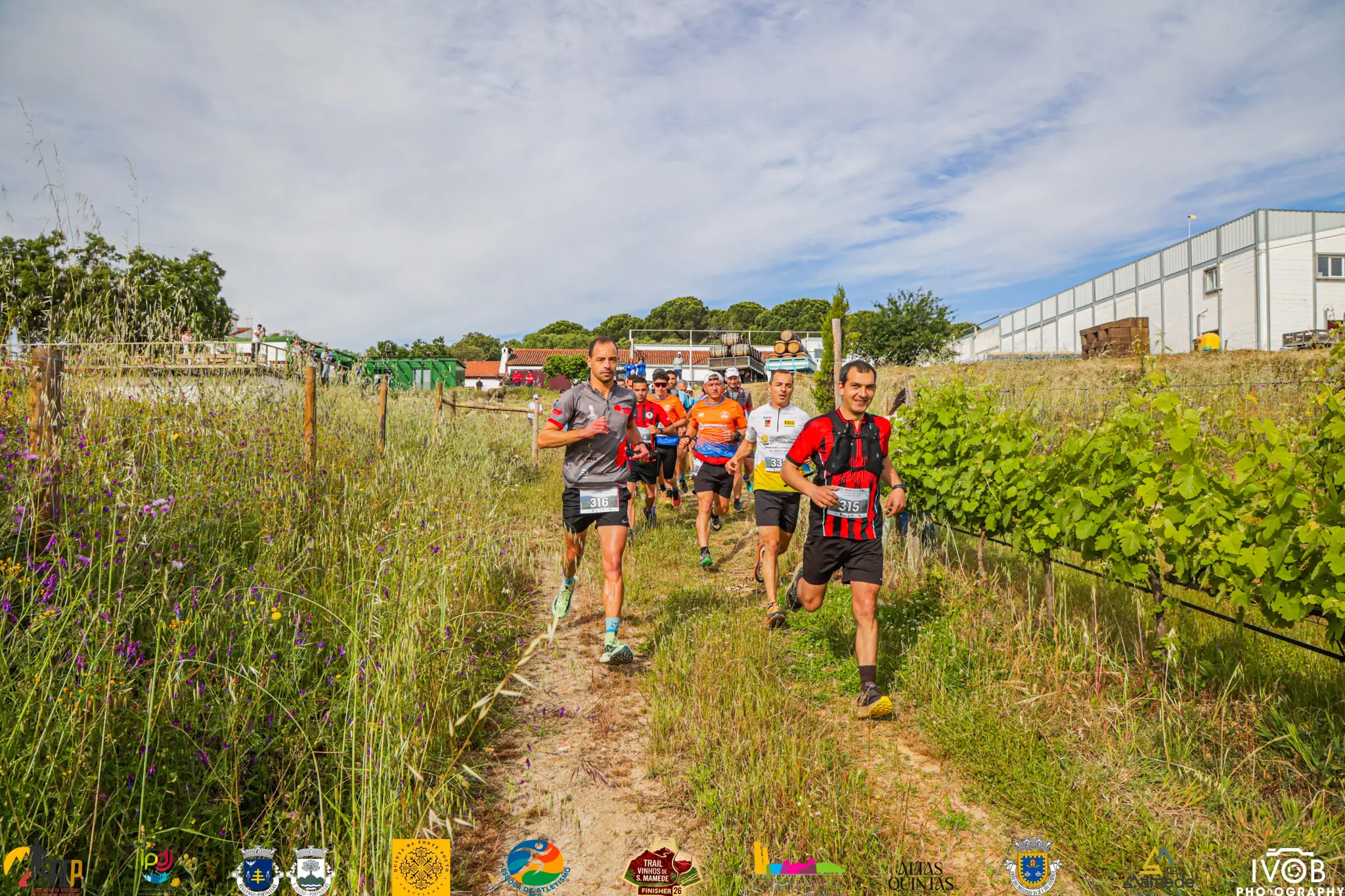 560a0053.webp